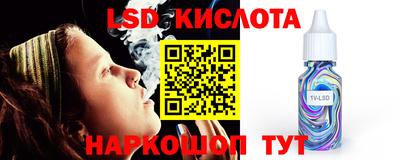 гашик Моздок