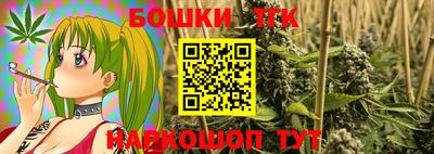 гашик Моздок