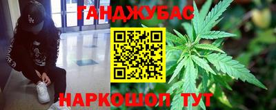 гашик Моздок