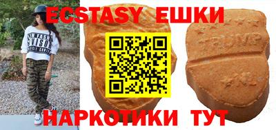 гашик Моздок