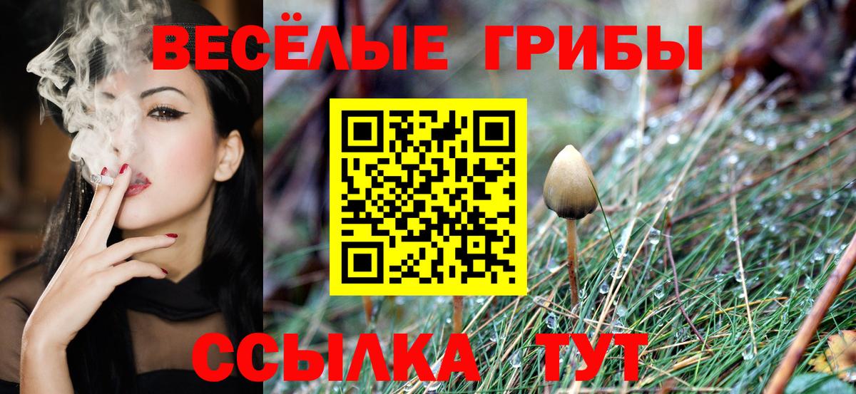 Семёнов  Галлюциногенные грибы MAGIC MUSHROOMS  Вход с VPN 